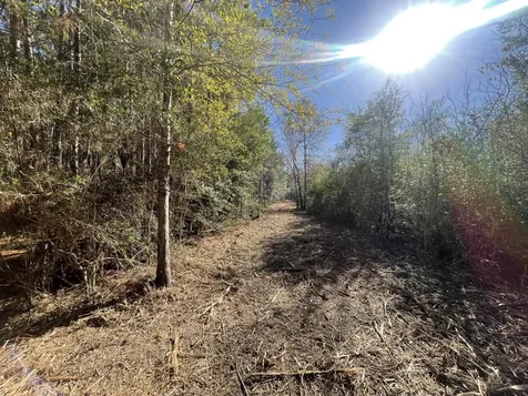Lot 5 E Fm 942 Livingston TX 77351