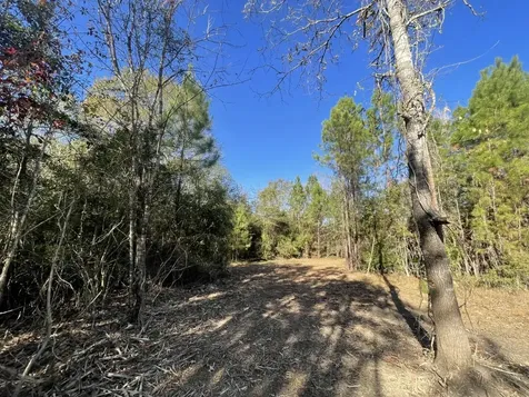 Lot 5 E Fm 942 Livingston TX 77351