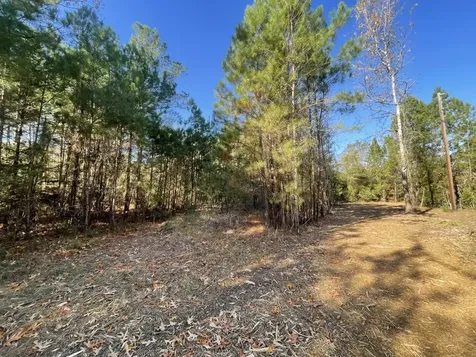 Lot 5 E Fm 942 Livingston TX 77351