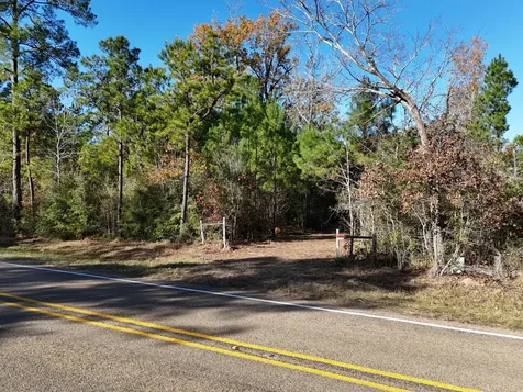 Lot 5 E Fm 942 Livingston TX 77351