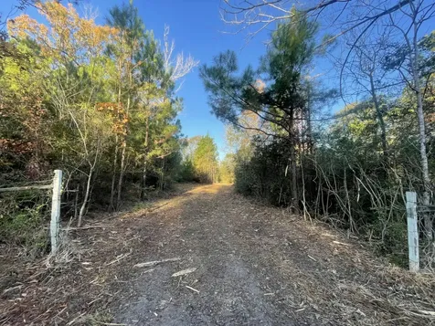 Lot 5 E Fm 942 Livingston TX 77351