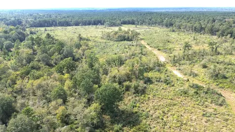 7749 Cr 4200 Pennington TX 75856