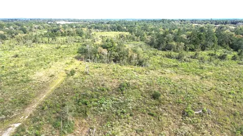 7749 Cr 4200 Pennington TX 75856