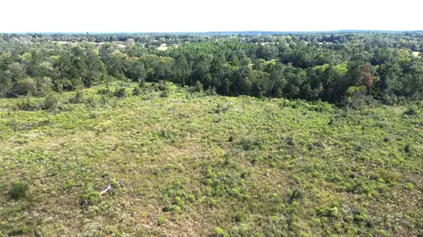7749 Cr 4200 Pennington TX 75856