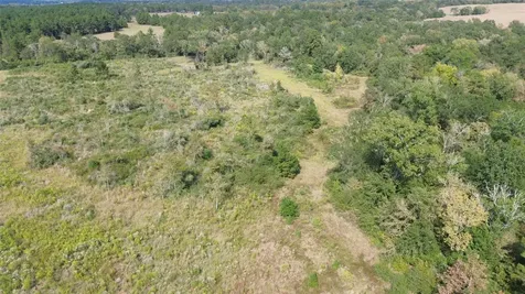 7749 Cr 4200 Pennington TX 75856