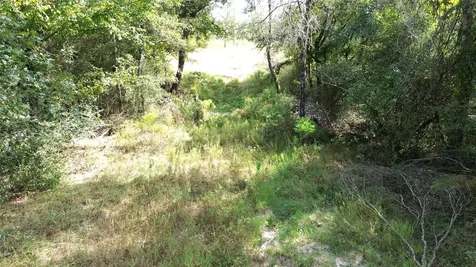 7749 Cr 4200 Pennington TX 75856