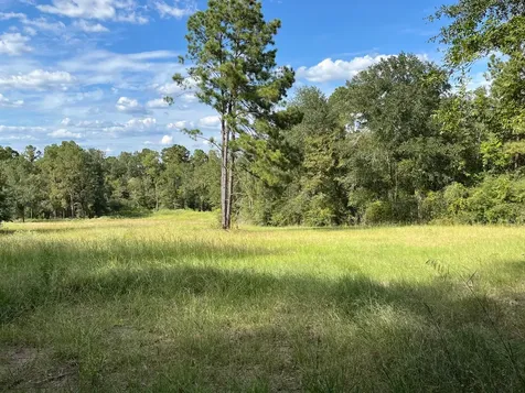 7749 Cr 4200 Pennington TX 75856