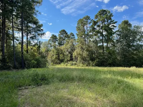 7749 Cr 4200 Pennington TX 75856