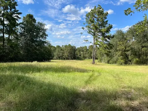 7749 Cr 4200 Pennington TX 75856