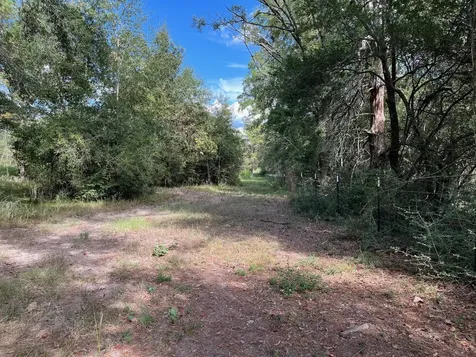 7749 Cr 4200 Pennington TX 75856