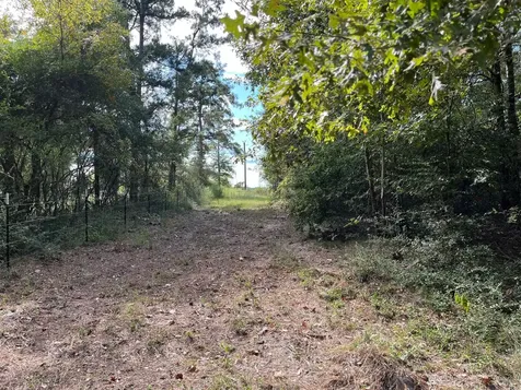 7749 Cr 4200 Pennington TX 75856