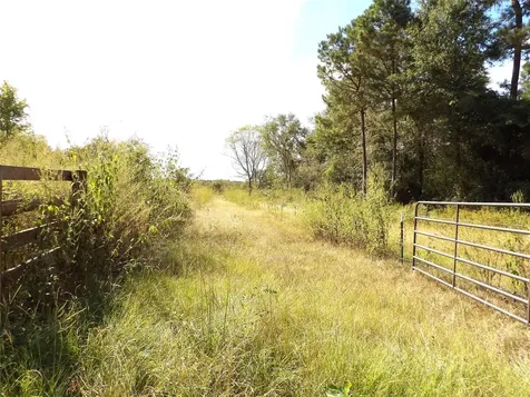 7749 Cr 4200 Pennington TX 75856