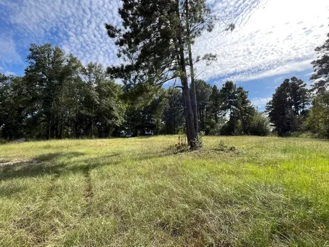 7749 Cr 4200 Pennington TX 75856