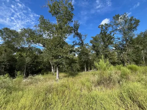 7749 Cr 4200 Pennington TX 75856
