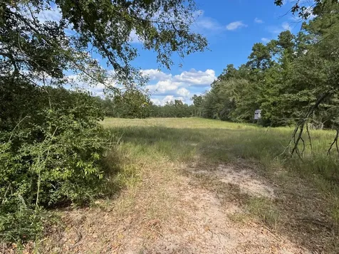 7749 Cr 4200 Pennington TX 75856