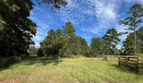 7749 Cr 4200 Pennington TX 75856