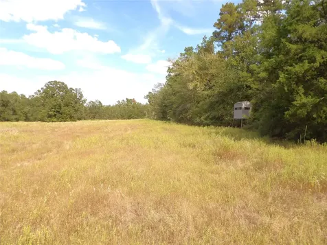 7749 Cr 4200 Pennington TX 75856