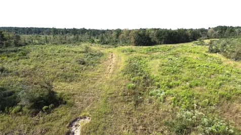7749 Cr 4200 Pennington TX 75856