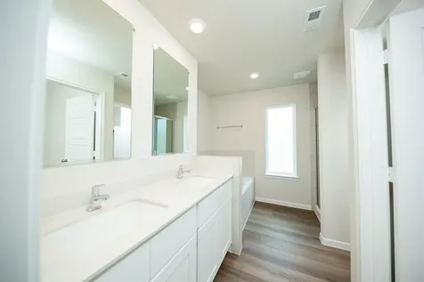 15615 Coneflower Hills Drive Houston TX 77090