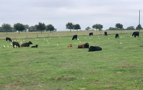 1440 Fm 2434 Weimar TX 78962