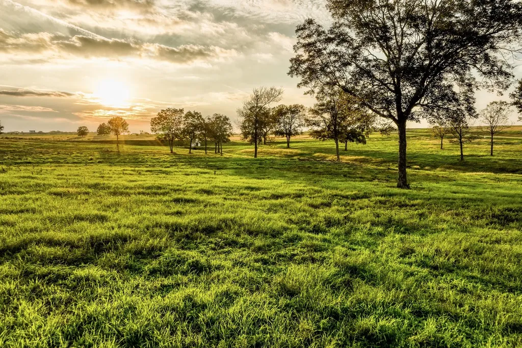 Tbd Sunny Hills, Lot 1 Drive Chappell Hill TX 77426