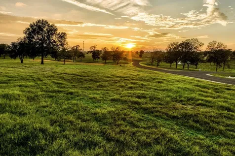 Tbd Sunny Hills, Lot 1 Drive Chappell Hill TX 77426