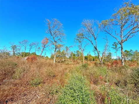 Tract 1 N Farm To Market 2022 Grapeland TX 75844