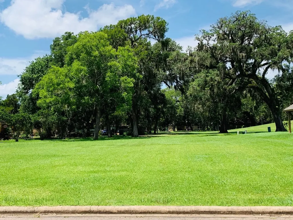 2200 Sunset Oaks Drive West Columbia TX 77486