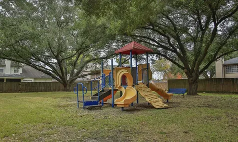 1323 Cowden Court Missouri City TX 77489