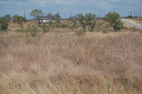 7081 County Road 301 Sabinal TX 78881