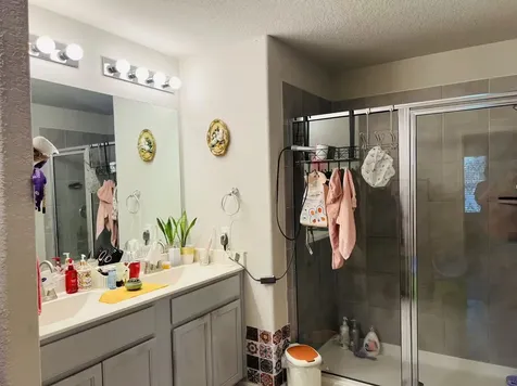 29602 Stanley Canyon Lane Katy TX 77494