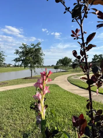 29602 Stanley Canyon Lane Katy TX 77494