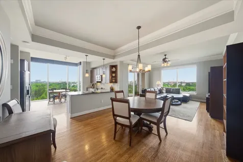 3333 Allen Parkway 709 Houston TX 77019