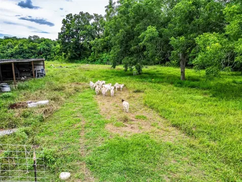 38929 Sampson Road Brookshire TX 77423