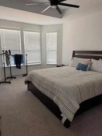 3223 Field Thistle New Braunfels TX 78130