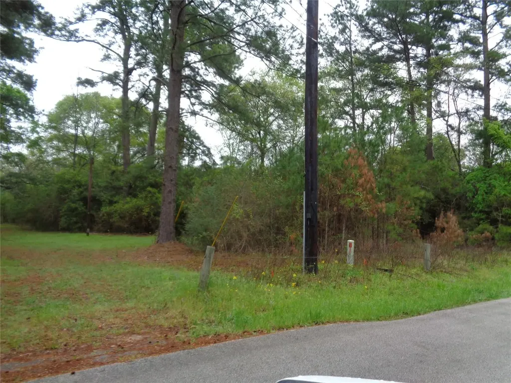 1223 Virgie Community Road Magnolia TX 77354