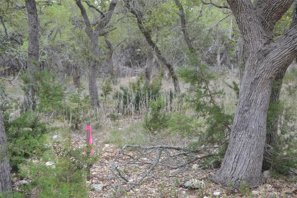 4016 Mcgregor Lane Dripping Springs TX 78620