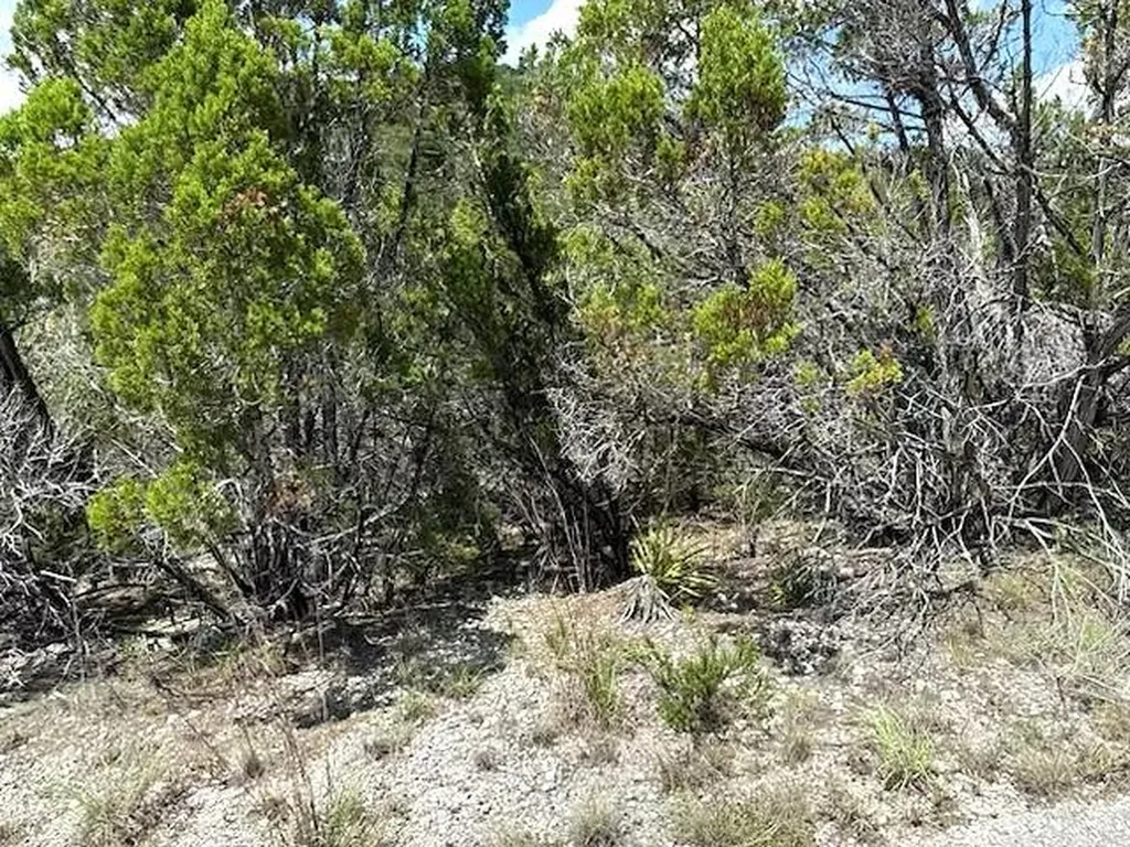 21404 Westward Ho Pass Lago Vista TX 78645