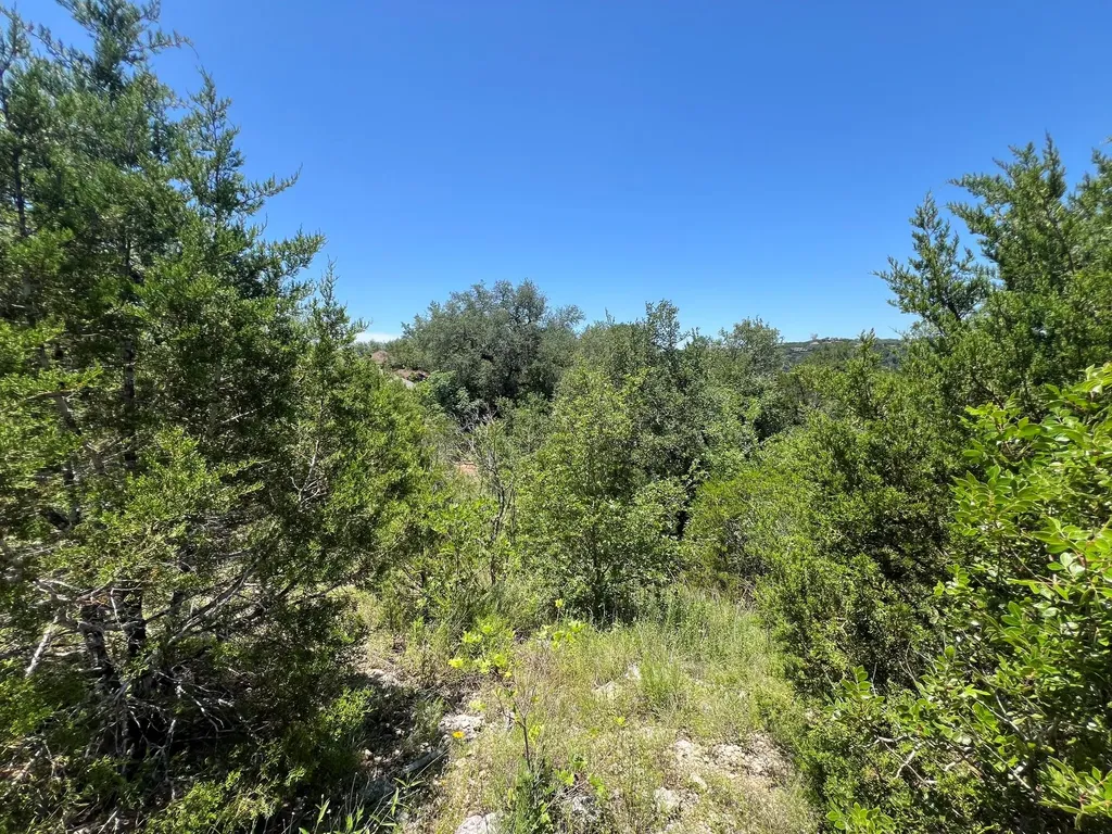 13700 Montview Drive Austin TX 78732