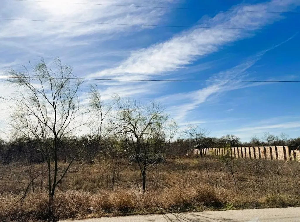 133 Blushing Drive Cedar Creek TX 78612