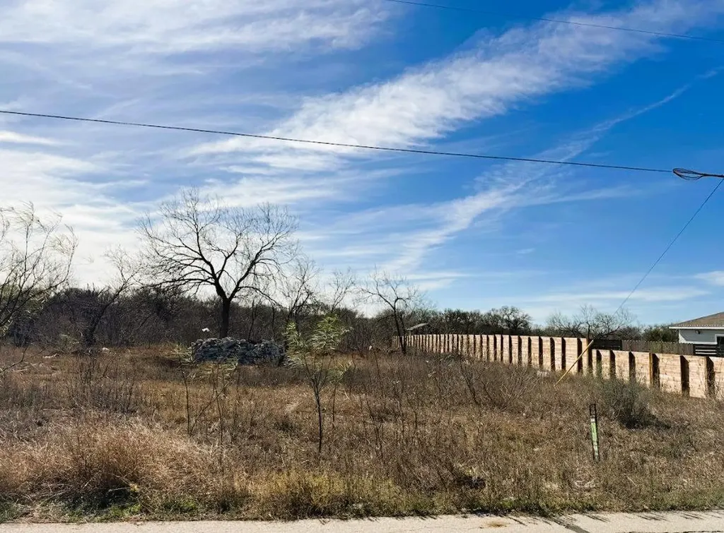 133 Blushing Drive Cedar Creek TX 78612