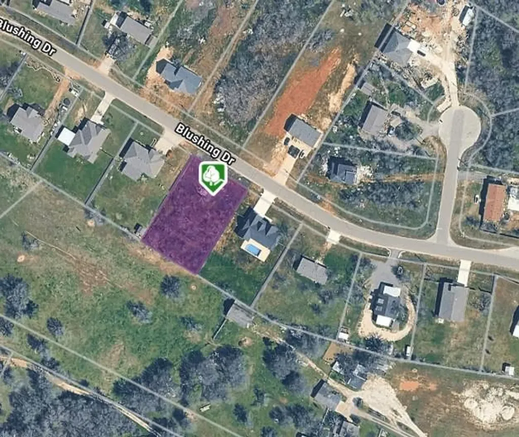 133 Blushing Drive Cedar Creek TX 78612