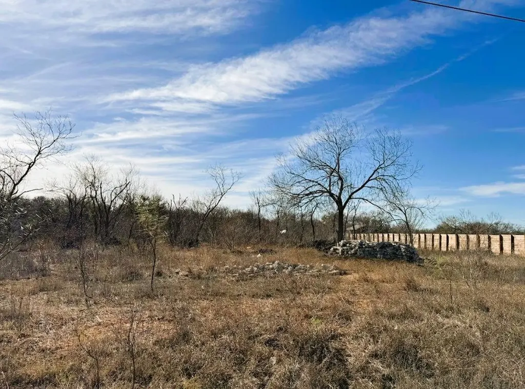 133 Blushing Drive Cedar Creek TX 78612