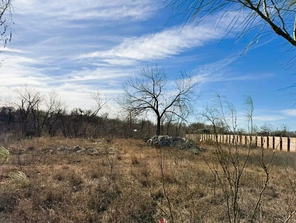 133 Blushing Drive Cedar Creek TX 78612