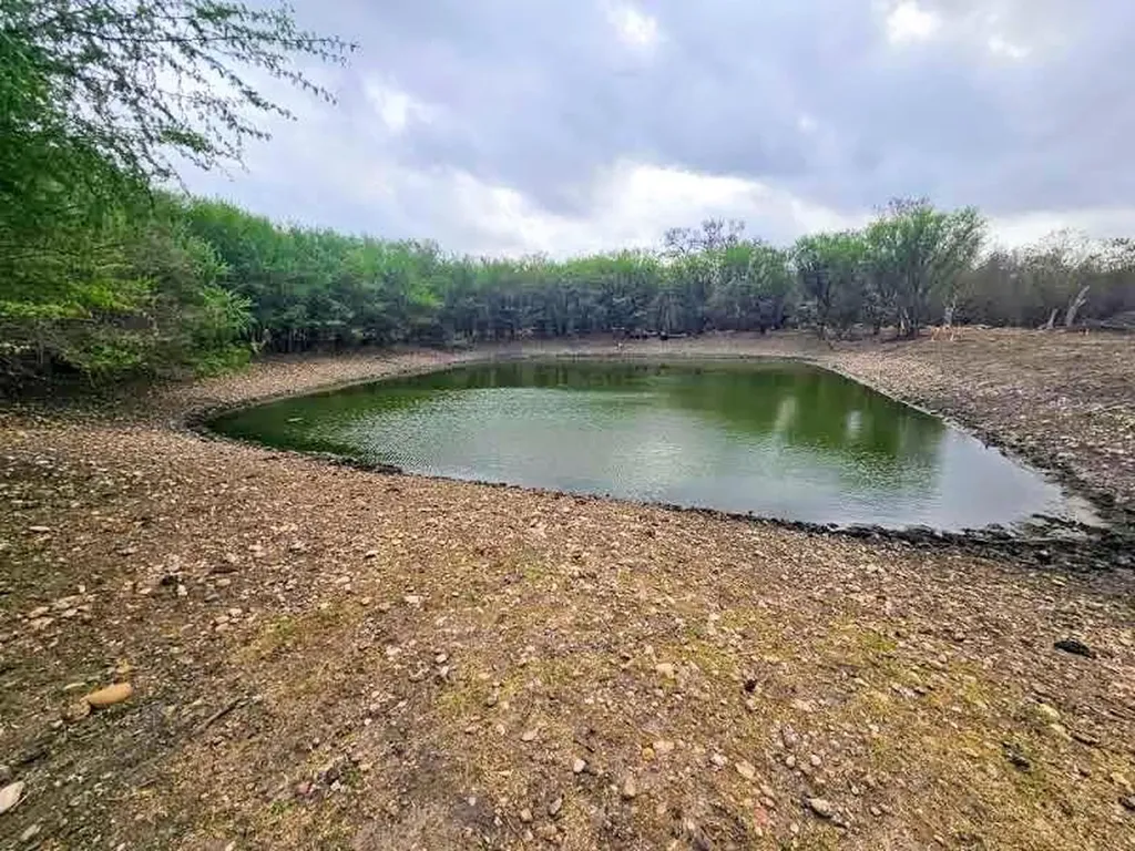 415 Black Watch Lane Lockhart TX 78644