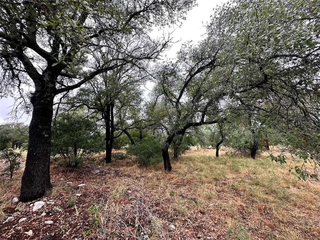 820 Mountain Dew Horseshoe Bay TX 78657