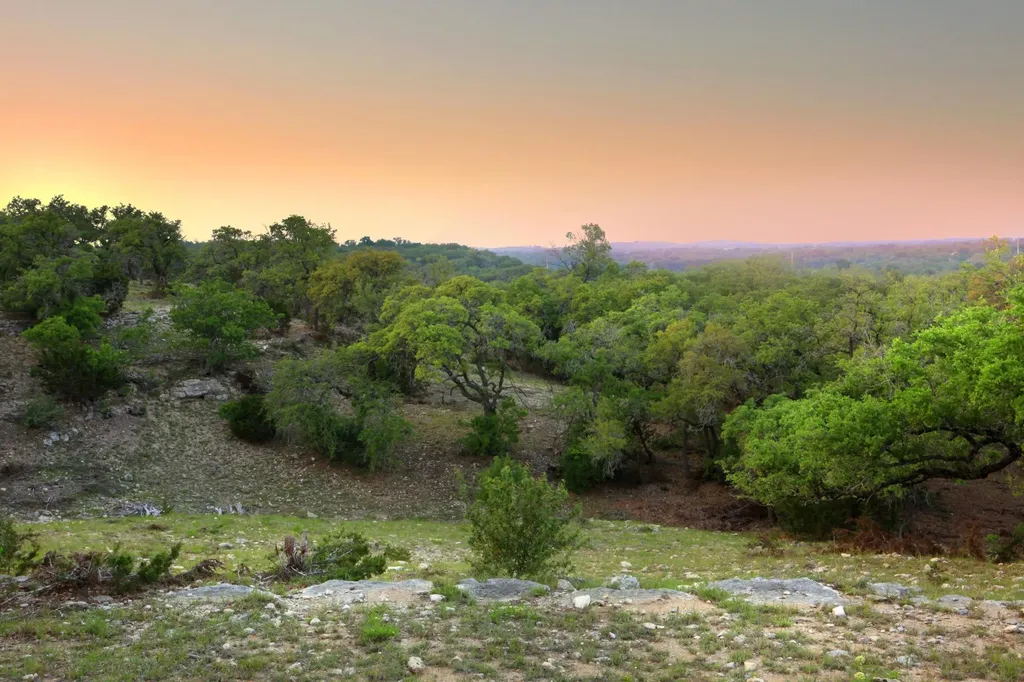 588 Premier Park Loop Dripping Springs TX 78620