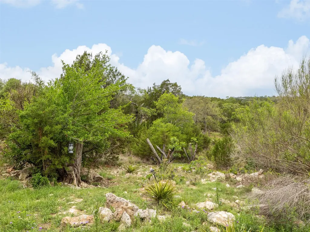 2591 Spring Valley Drive Dripping Springs TX 78620