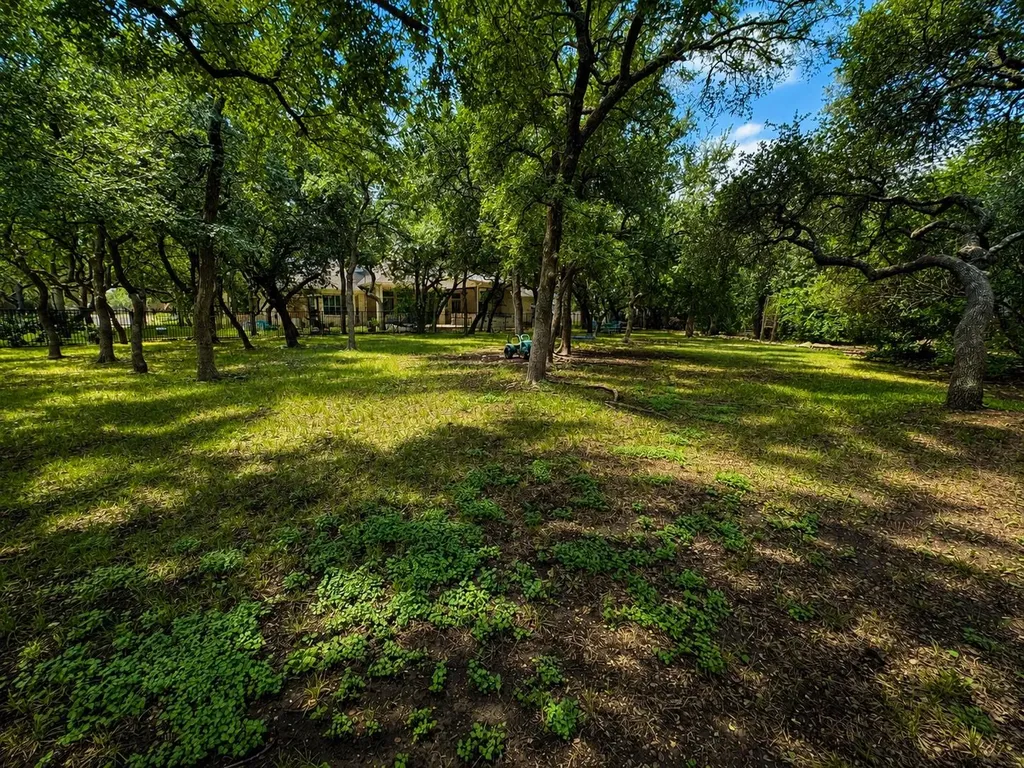 1007 Kieran Cove Georgetown TX 78628