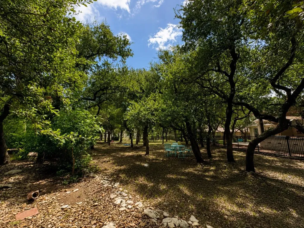 1007 Kieran Cove Georgetown TX 78628